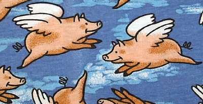 Pigs on the Wing