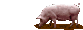OINK